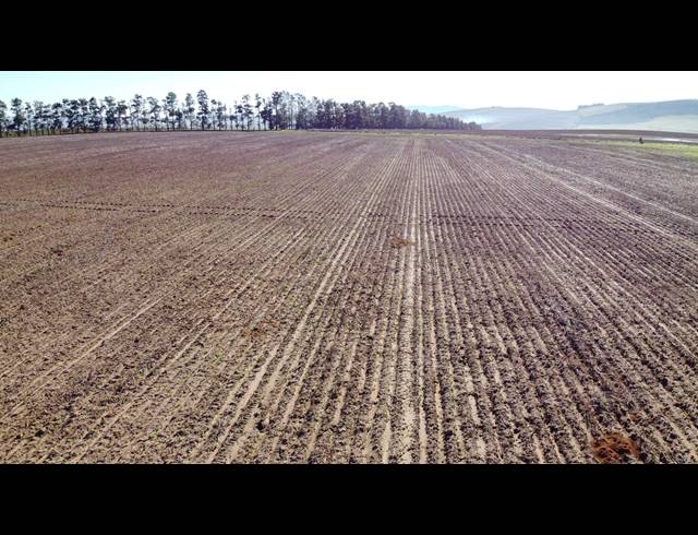 110HA FARM FOR SALE IN MALMESBURY RURAL